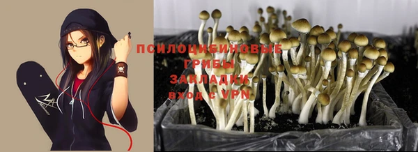 гидропоника Рославль