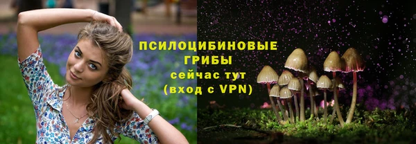 круглые Алексеевка